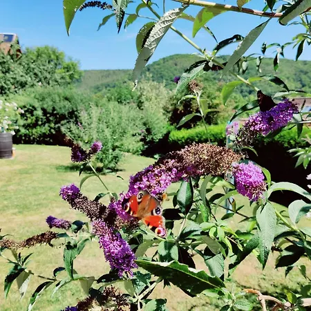 Edersonne アパート *