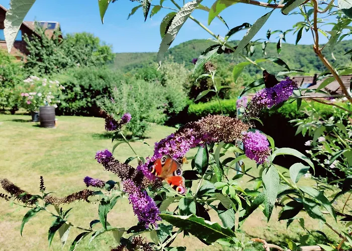 Edersonne Apartman *